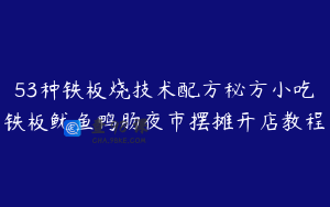 53种铁板烧技术配方秘方小吃铁板鱿鱼鸭肠夜市摆摊开店教程