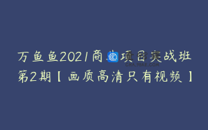 万鱼鱼2021商业项目实战班第2期【画质高清只有视频】