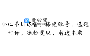 小红书训练营，搭建账号，选题对标，涨粉变现，看透本质