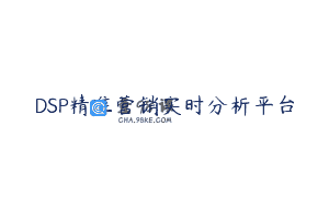 DSP精准营销实时分析平台