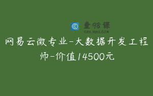 网易云微专业-大数据开发工程师-价值14500元
