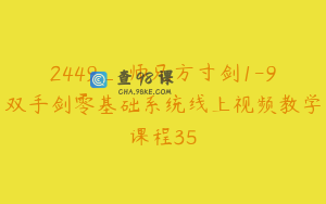 2449_翀师兄方寸剑1-9双手剑零基础系统线上视频教学课程35