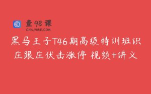 黑马王子T46期高级特训班识庄跟庄伏击涨停 视频+讲义