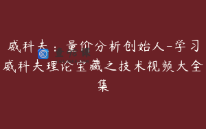 威科夫：量价分析创始人-学习威科夫理论宝藏之技术视频大全集