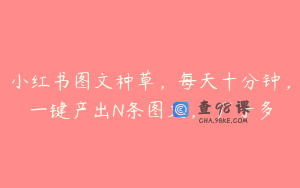 小红书图文种草，每天十分钟，一键产出N条图文， 广子多