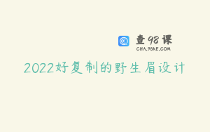 2022好复制的野生眉设计