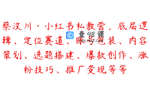 蔡汶川·小红书私教营，底层逻辑、定位赛道、账号包装、内容策划、选题搭建、爆款创作、涨粉技巧、推广变现等等