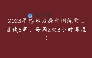 2023年感知力提升训练营_连续8周，每周2次3小时课程）