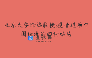 北京大学徐远教授:疫情过后中国经济的四种结局