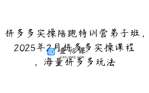 拼多多实操陪跑特训营弟子班，2025年2月拼多多实操课程，海量拼多多玩法