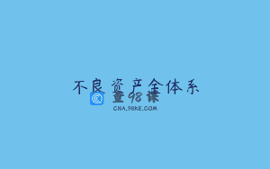不良资产全体系
