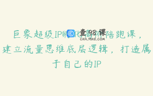 巨象超级IP孵化高阶陪跑课，建立流量思维底层逻辑，打造属于自己的IP