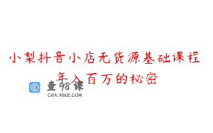 小梨抖音小店无货源基础课程 年入百万的秘密