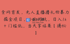 全网首发，无人直播撸礼物暴力掘金项目，小白可玩，日入1k+ 门槛低，当天拿结果【揭秘】