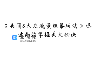 《美团&大众流量粗暴玩法》迅速高效掌握美大秘诀