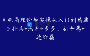 《电商理论与实操从入门到精通》抖店+淘系+多多，新手篇+进阶篇