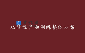 功能性产后训练整体方案