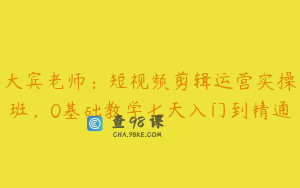 大宾老师：短视频剪辑运营实操班，0基础教学七天入门到精通