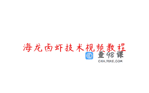 海龙卤虾技术视频教程