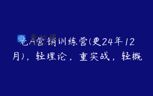 老A营销训练营(更24年12月)，轻理论，重实战，轻概