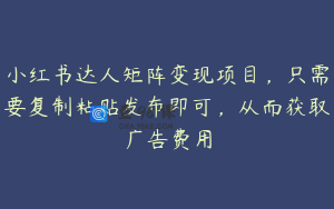 小红书达人矩阵变现项目，只需要复制粘贴发布即可，从而获取广告费用