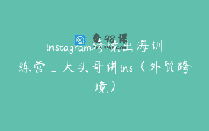 instagram跨境出海训练营_大头哥讲ins（外贸跨境）