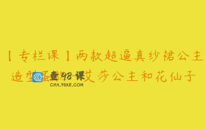 【专栏课】两款超逼真纱裙公主造型蛋糕—艾莎公主和花仙子