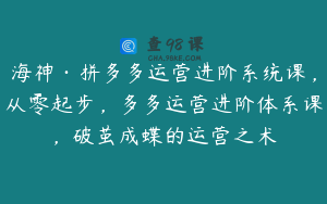 海神·拼多多运营进阶系统课，从零起步，多多运营进阶体系课，破茧成蝶的运营之术