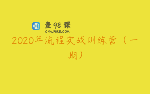 2020年流程实战训练营（一期）