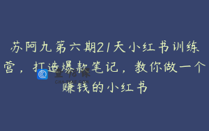 苏阿九第六期21天小红书训练营，打造爆款笔记，教你做一个赚钱的小红书
