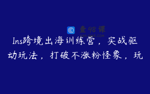 Ins跨境出海训练营，实战驱动玩法，打破不涨粉怪象，玩