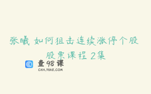 张曦 如何狙击连续涨停个股 股票课程 2集