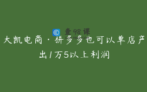 大凯电商·拼多多也可以单店产出1万5以上利润
