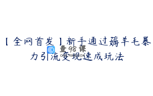 【全网首发】新手通过薅羊毛暴力引流变现速成玩法