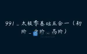 991_太极零基础五合一（初阶_中阶_高阶）