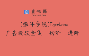 [振洋学院]Facebook广告投放全集_初阶_进阶_