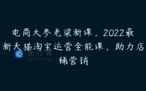 电商大参老梁新课，2022最新天猫淘宝运营全能课，助力店铺营销