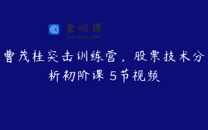 曹茂桂突击训练营，股票技术分析初阶课 5节视频