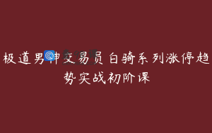 极道男神交易员白骑系列涨停趋势实战初阶课