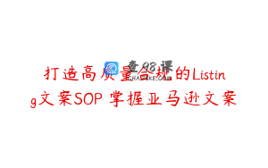 打造高质量合规的Listing文案SOP 掌握亚马逊文案