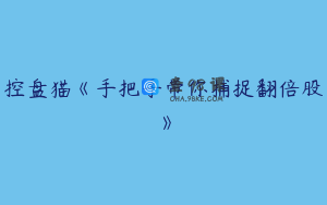 控盘猫《手把手带你捕捉翻倍股》