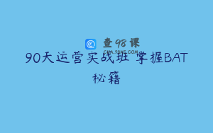 90天运营实战班 掌握BAT秘籍