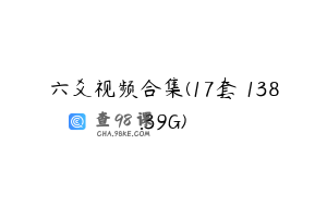 六爻视频合集(17套 138.39G)
