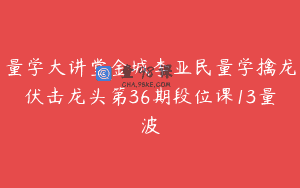 量学大讲堂金城李亚民量学擒龙伏击龙头第36期段位课13量波