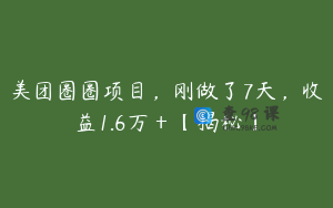 美团圈圈项目，刚做了7天，收益1.6万＋【揭秘】