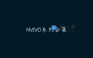 NVIVO系列合集