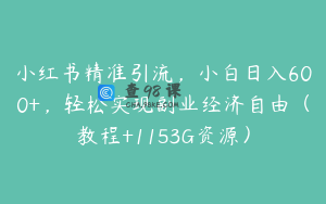 小红书精准引流，小白日入600+，轻松实现副业经济自由（教程+1153G资源）