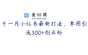 十一月小红书最新打法,单图引流300+创业粉