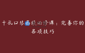 十孔口琴高级必修课:完善你的各项技巧