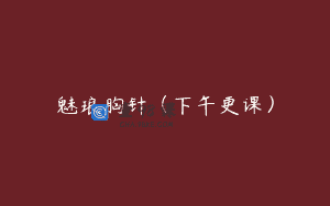 魅琅胸针（下午更课）